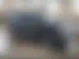 Vehicle Image- 2008 Chevrolet Suburban