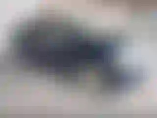 Vehicle Image- 2008 Chevrolet Suburban