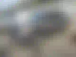 Vehicle Image- 2007 Chevrolet Suburban