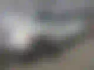 Vehicle Image- 2008 Chevrolet Suburban