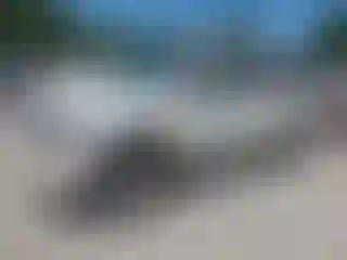 Vehicle Image- 2008 Chevrolet Suburban
