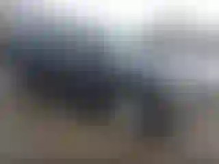 Vehicle Image- 2004 Chevrolet Suburban