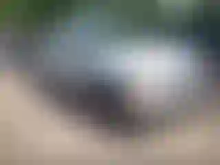 Vehicle Image- 2006 Chevrolet Suburban