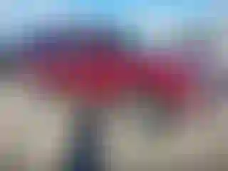 Vehicle Image- 2005 Chevrolet Suburban