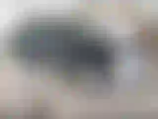 Vehicle Image- 2005 Chevrolet Suburban