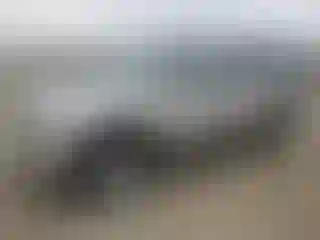 Vehicle Image- 2005 Chevrolet Suburban