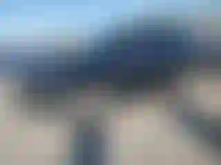 Vehicle Image- 2009 Chevrolet Tahoe