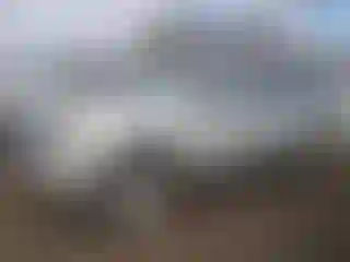 Vehicle Image- 2009 Chevrolet Suburban