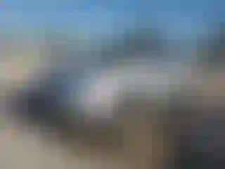 Vehicle Image- 2014 Chevrolet Equinox