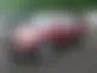Vehicle Image- 2011 Chevrolet Traverse