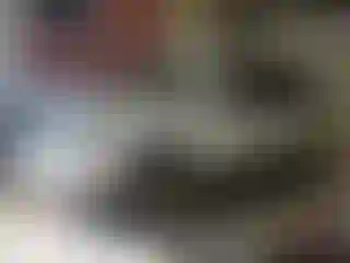 Vehicle Image- 2011 Chevrolet Traverse