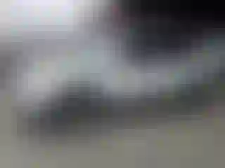 Vehicle Image- 2016 Chevrolet Traverse