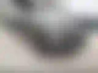 Vehicle Image- 2019 Chevrolet Tahoe