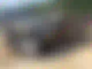 Vehicle Image- 2019 Chevrolet Tahoe