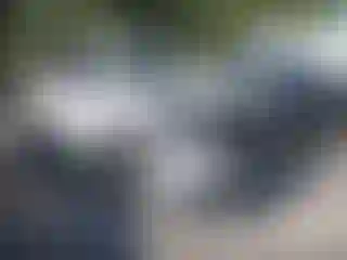 Vehicle Image- 2019 Chevrolet Tahoe