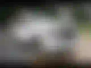 Vehicle Image- 2019 Chevrolet Tahoe