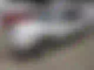 Vehicle Image- 2010 Chevrolet Traverse