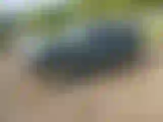 Vehicle Image- 2025 Chevrolet Tahoe