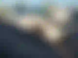 Vehicle Image- 2015 Chevrolet Tahoe