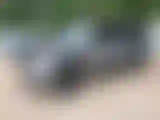 Vehicle Image- 2020 Chevrolet Suburban