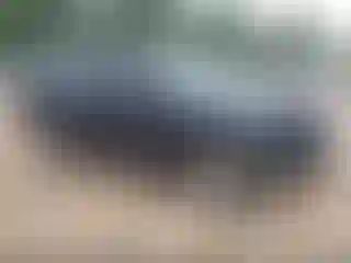 Vehicle Image- 2019 Chevrolet Suburban