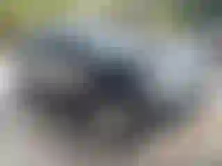 Vehicle Image- 2015 Chevrolet Suburban