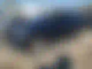 Vehicle Image- 2021 Chevrolet Tahoe