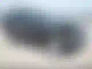 Vehicle Image- 2017 Chevrolet Tahoe