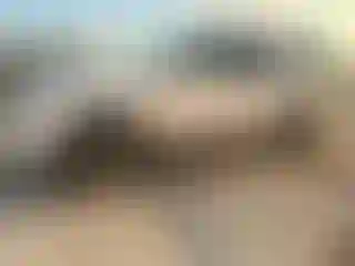 Vehicle Image- 2023 Chevrolet Suburban