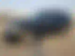 Vehicle Image- 2014 Chevrolet Tahoe