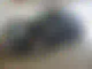 Vehicle Image- 2021 Chevrolet Suburban