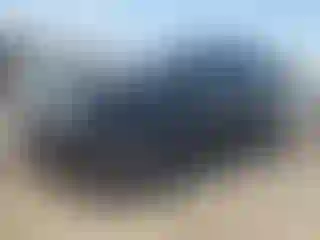 Vehicle Image- 2024 Chevrolet Suburban
