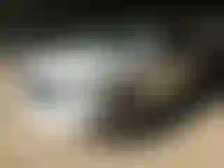 Vehicle Image- 2020 Chevrolet Tahoe