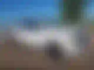 Vehicle Image- 2022 Chevrolet Suburban