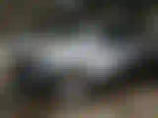 Vehicle Image- 2023 Chevrolet Suburban