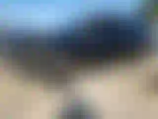 Vehicle Image- 2023 Chevrolet Suburban