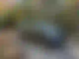 Vehicle Image- 2016 Chevrolet Suburban