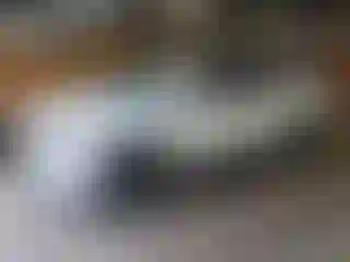 Vehicle Image- 2017 Chevrolet Suburban