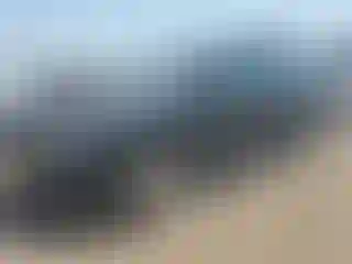 Vehicle Image- 2016 Chevrolet Suburban