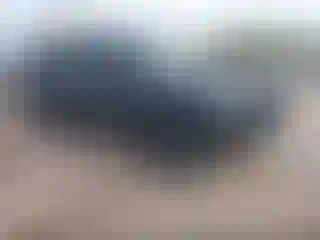 Vehicle Image- 2016 Chevrolet Suburban