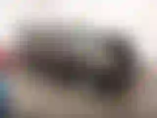 Vehicle Image- 2013 Chevrolet Suburban