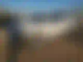 Vehicle Image- 2016 Chevrolet Suburban