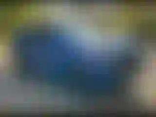 Vehicle Image- 2023 Chevrolet Tahoe