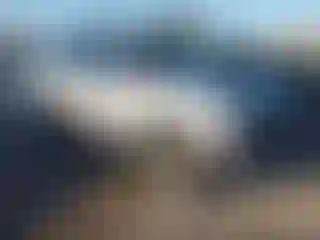 Vehicle Image- 2023 Chevrolet Tahoe