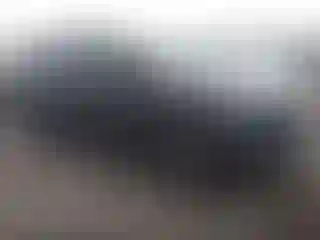 Vehicle Image- 2023 Chevrolet Tahoe