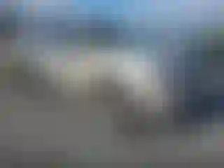Vehicle Image- 2010 Chevrolet Tahoe