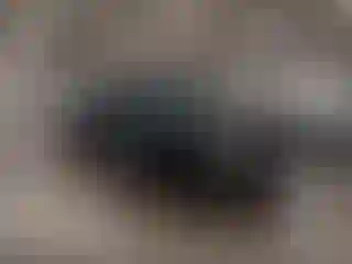 Vehicle Image- 2011 GMC Sierra