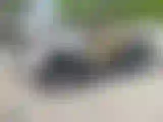 Vehicle Image- 2019 GMC Sierra
