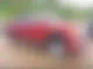 Vehicle Image- 2019 GMC Sierra