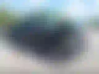 Vehicle Image- 2019 GMC Sierra